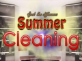 leikur Spot The differences Summer Cleaning