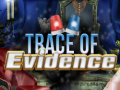 leikur Trace of Evidence
