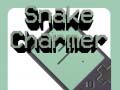leikur Snake Charmer