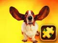 leikur Funny Dogs Puzzle