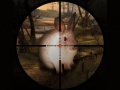 leikur Classical Rabbit Sniper Hunting 2019