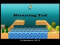 leikur Running Ted