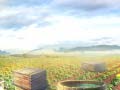 leikur Farm Treasure