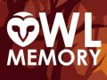 leikur Owl Memory
