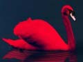 leikur Love Birds Puzzle
