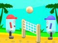 leikur Beach Volleyball