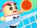 leikur Amazing Volleyball