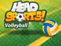 leikur Head Sports Volleyball