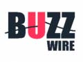 leikur Buzz Wire