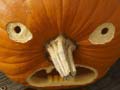 leikur 5 in 1 Picture Puzzle: Halloween