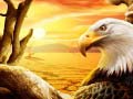 leikur Eagle