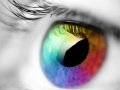 leikur Colours And Designs