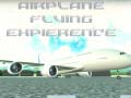 leikur Airplane Flying Expierence