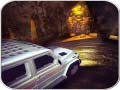 leikur Scary Car Driving Simulator