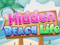 leikur Hidden Beach Life