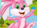leikur Bunny Run