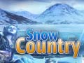 leikur Snow Country