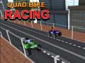 leikur Quad Bike Racing
