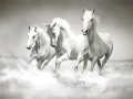 leikur Horses Puzzle