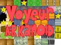 leikur Voyeur arkanoid