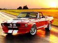 leikur Fancy Mustang Differences