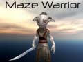 leikur Maze Warrior