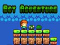 leikur Boy Adventure