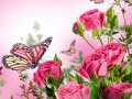 leikur Butterflies Puzzle