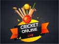 leikur Cricket Online