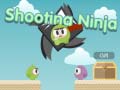 leikur Shooting Ninja