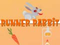 leikur Runner Rabbit