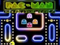 leikur Pac-Man Championship Edition