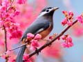 leikur Lovable Birds