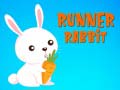 leikur Runner Rabbit