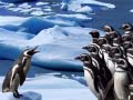 leikur Penguins Slide