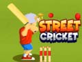 leikur Street Cricket