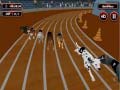 leikur Crazyl Dog Racing Fever