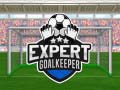 leikur Expert Goalkeeper