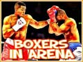 leikur Boxers in Arena