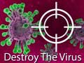 leikur Destroy The Virus