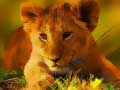 leikur Wild Baby Animals Jigsaw