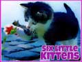 leikur Six Little Kittens
