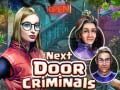 leikur Next Door Criminals
