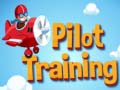 leikur Pilot Training