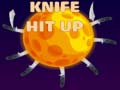 leikur Knife Hit Up