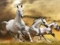 leikur Running Horse Slide