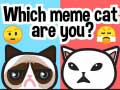 leikur Which Meme Cat Are You?