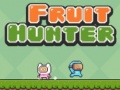 leikur Fruit Hunter