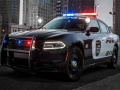 leikur Police Cars Slide