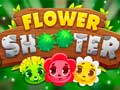 leikur Flower Shooter